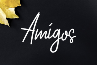Amigos Font Review