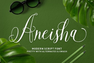 Aneisha Script: A Designer’s Honest Take on This Modern Calligraphy Font