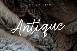 Antique Font Review