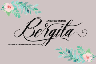Bergita: A Modern Handwritten Font
