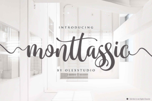Monttassic Script: A Font for Business Magic