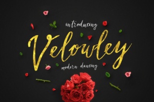 Velowley: Elegant Script Font for Business