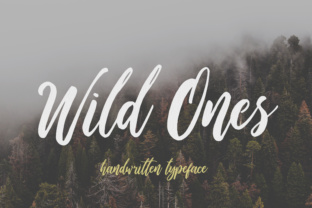 Wild Ones Font: A Handbrushed Script for Handmade Product Makers