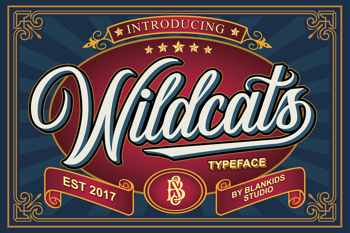 Wildcats: A Vintage Script Font for Modern Marketing